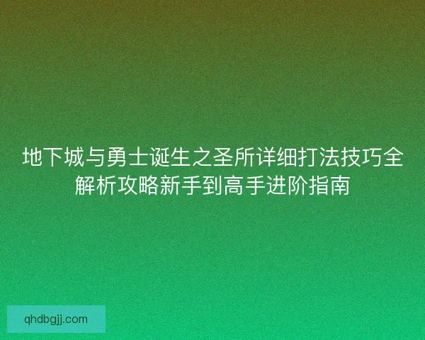 地下城与勇士诞生之圣所详细打法技巧全解析攻略新手到高手进阶指南