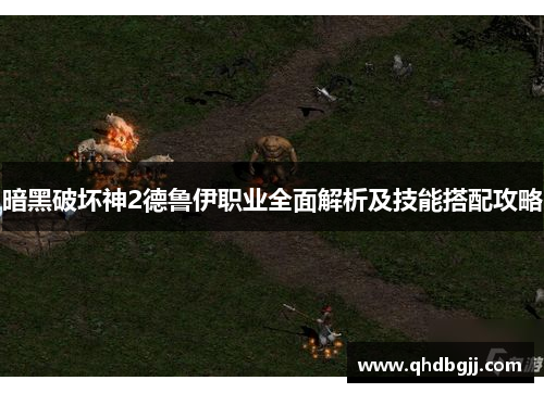 暗黑破坏神2德鲁伊职业全面解析及技能搭配攻略