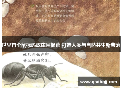 世界首个鼠标蚂蚁庄园揭幕 打造人类与自然共生新典范