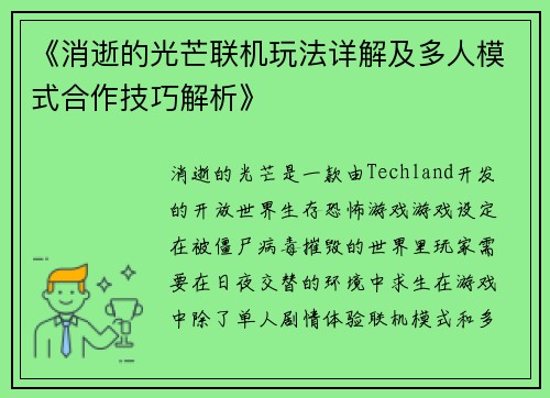 《消逝的光芒联机玩法详解及多人模式合作技巧解析》